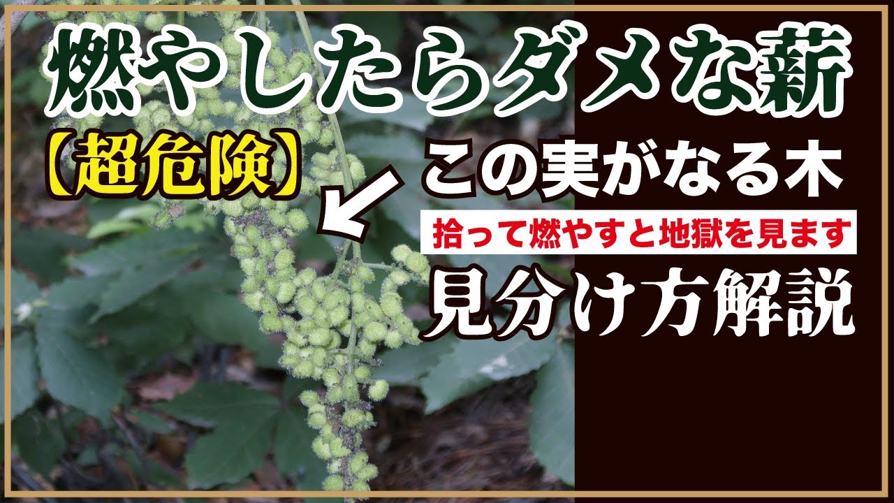 【危険度MAX】知らずに燃やしたり触れないために！