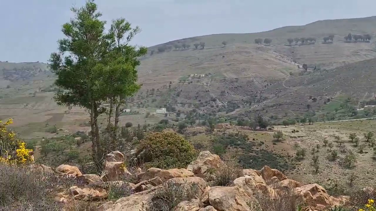 طبيعة الريف امامز أقا وجدند ☘️🌿