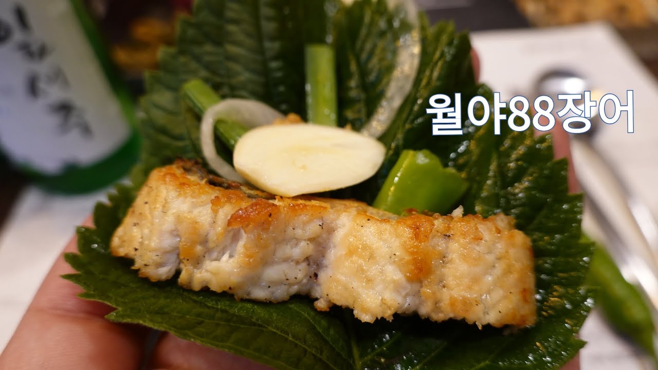 자포니카 민물장어를 맛볼수 있는 함평맛집, 월야88장어 Japonica Freshwater eel restaurant