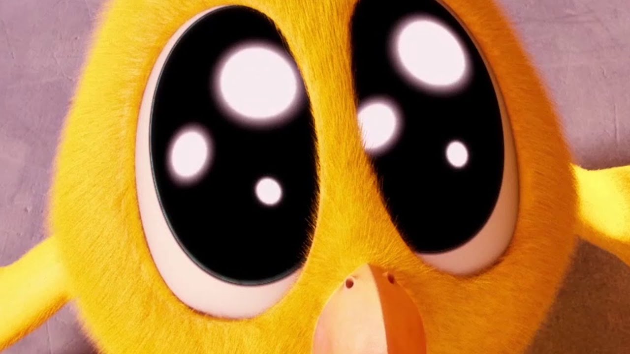 ¡Chicky y sus Amigos! | ¿Dónde está Chicky? | Dibujos Animados para Niños | Nuevos episodios