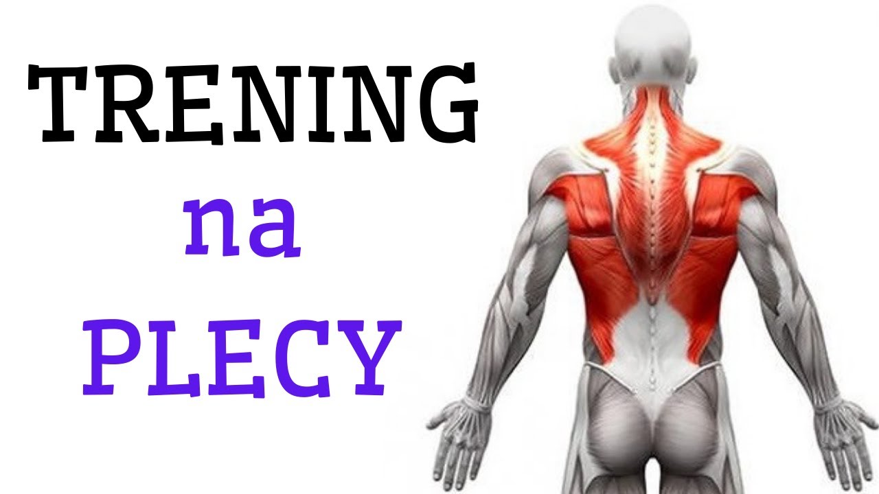 TRENING na PLECY z HANTLAMI 💪 NAJLEPSZE ĆWICZENIA na PLECY