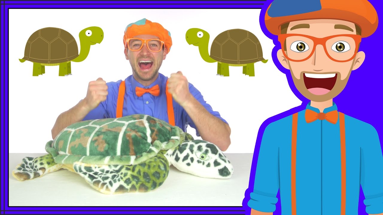 Animal Songs for Children | The Tortoise Song by Blippi