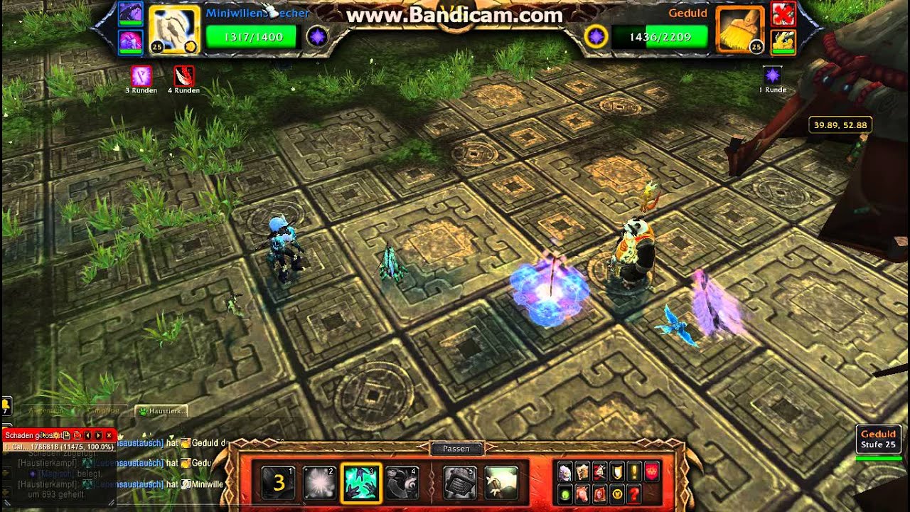 Wow Haustier Guide Lehrensucher Cho mit Pl&uuml;schelekk