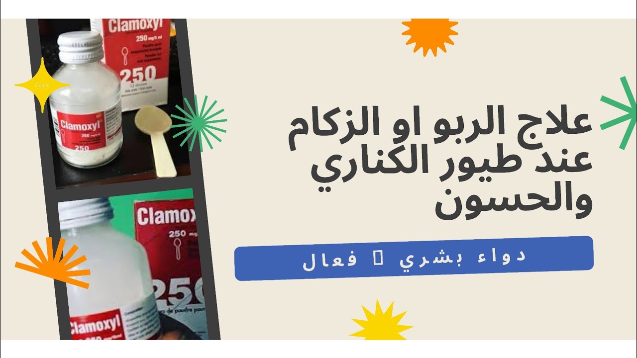 عالم الكناري✓✓✓ كيفية علاج الربو او الزكام عند طيور الكناري والحسون بدواء بشري %💯 فعال.