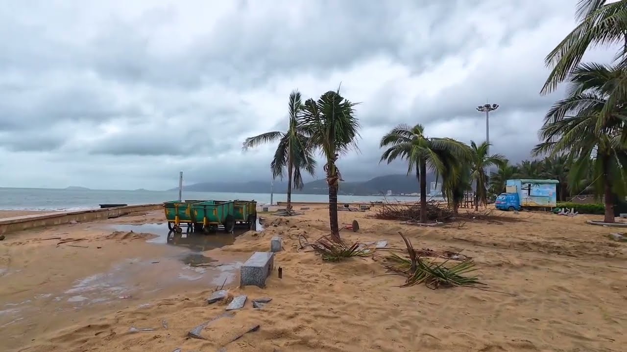 Quy Nhơn 10 ngày sau Bão (số 13/2025)