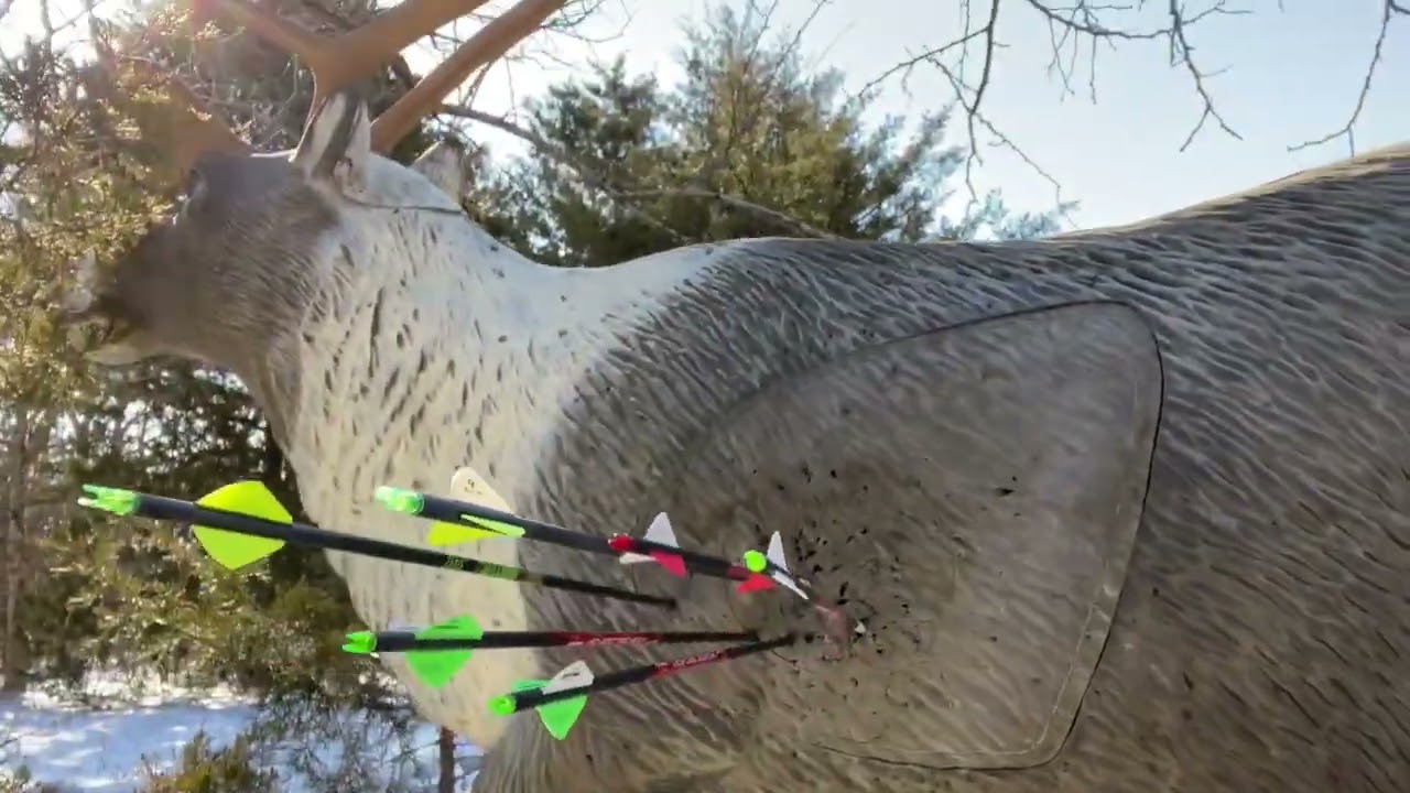 Late season tac practice 3d archery at local course. 