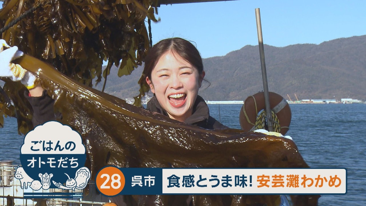 【ごはんのオトモだち】㉘安芸灘わかめと豚肉のペペロンチーノ（呉市）｜ピタニュー
