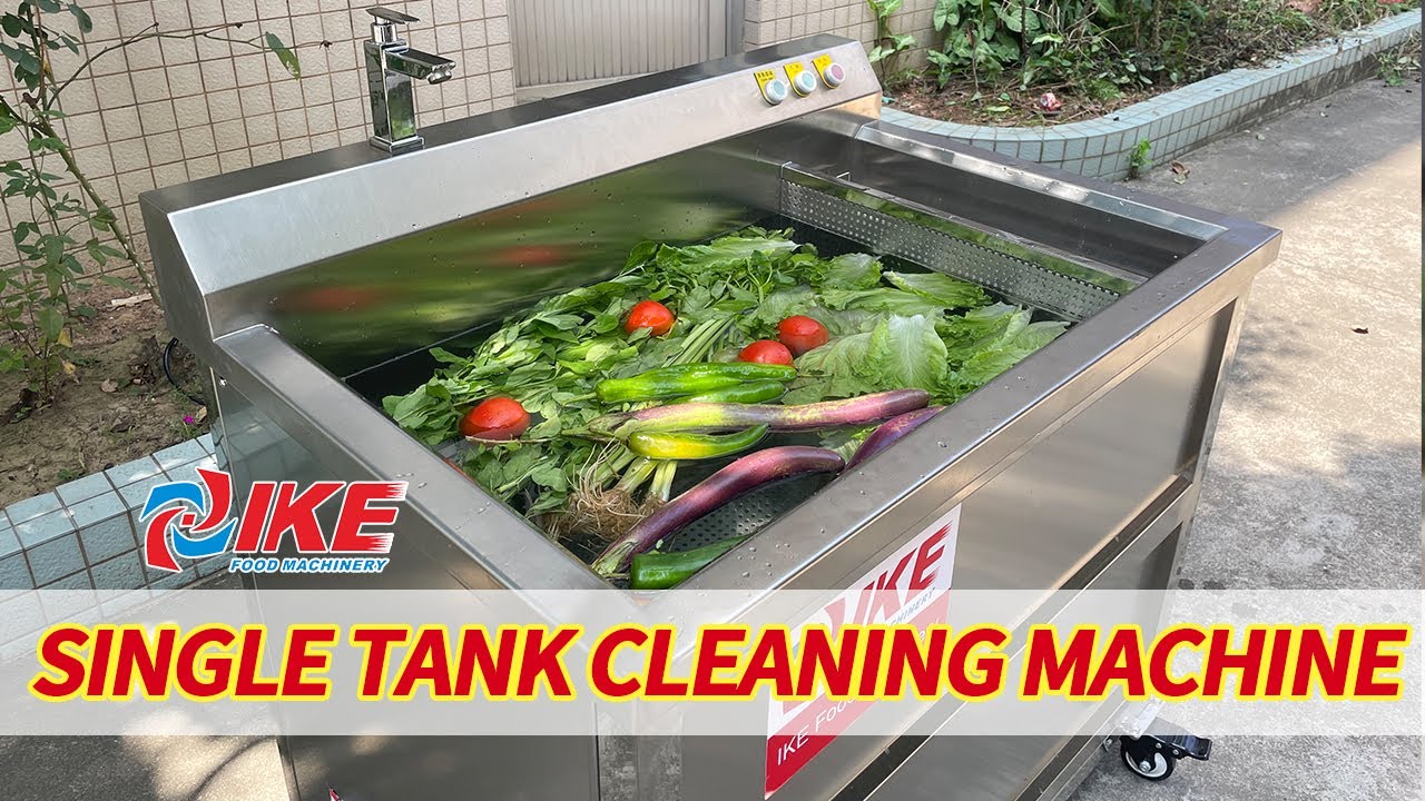 DS-WB055 Large-capacity commercial vegetable and fruit washing machine|Leaf washing machine