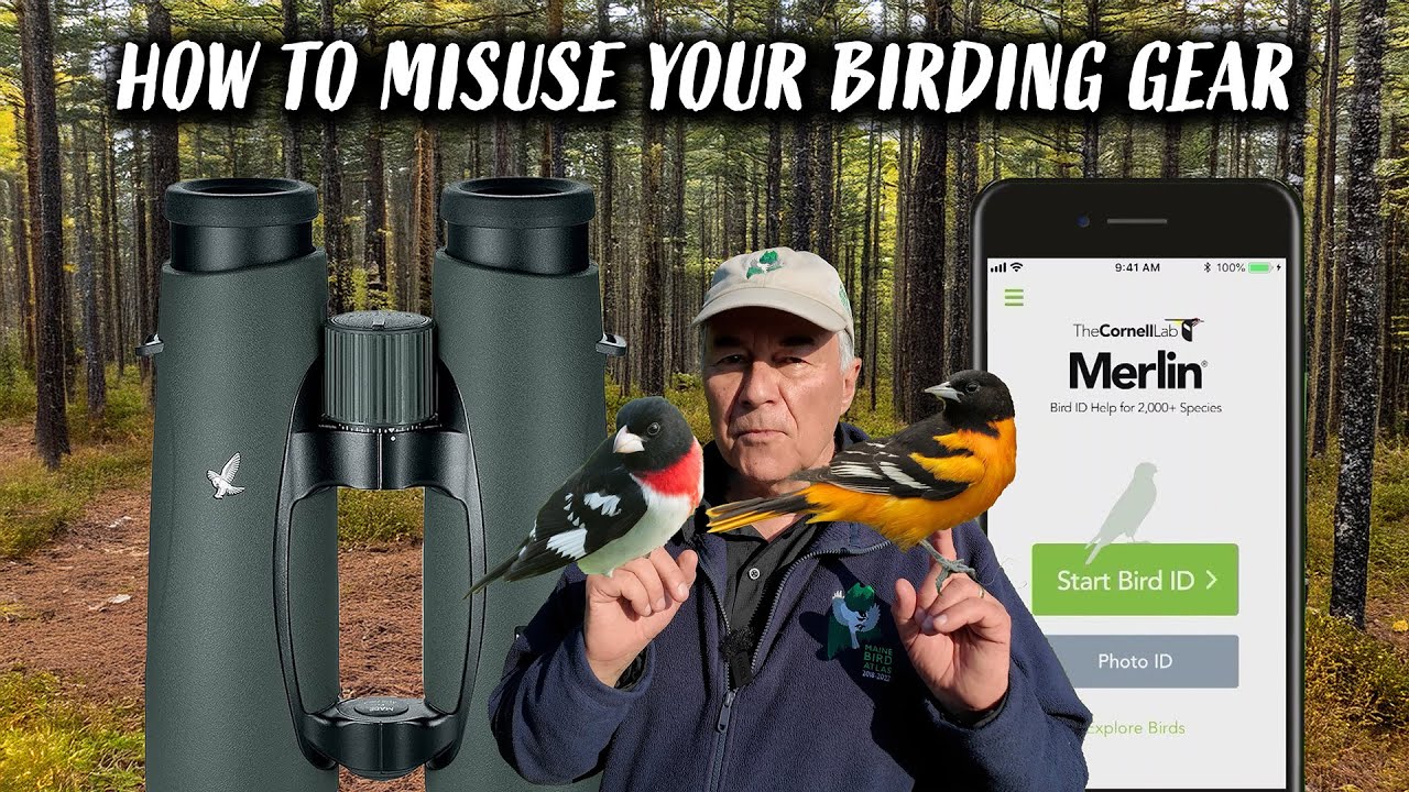 BIRDERS Misuse Their Tools Like THIS