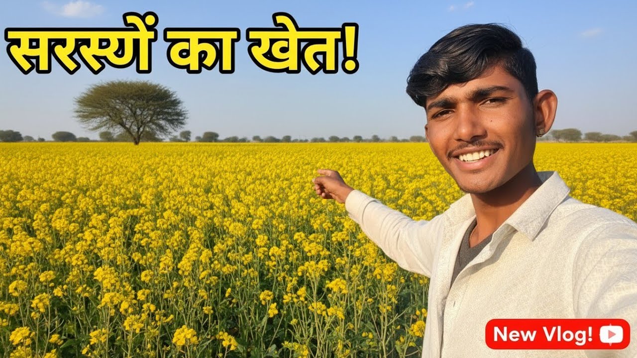 Chennai sarson Vlog yah  #family #vlog #chennai #sarson 