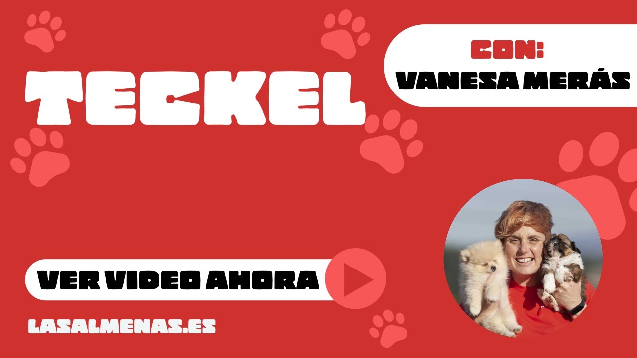 Colores exóticos del TECKEL | Centro Canino Las Almenas