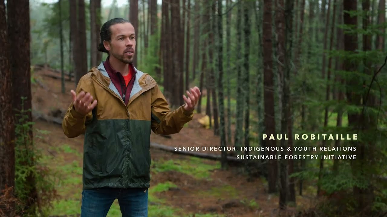Working With The Forest