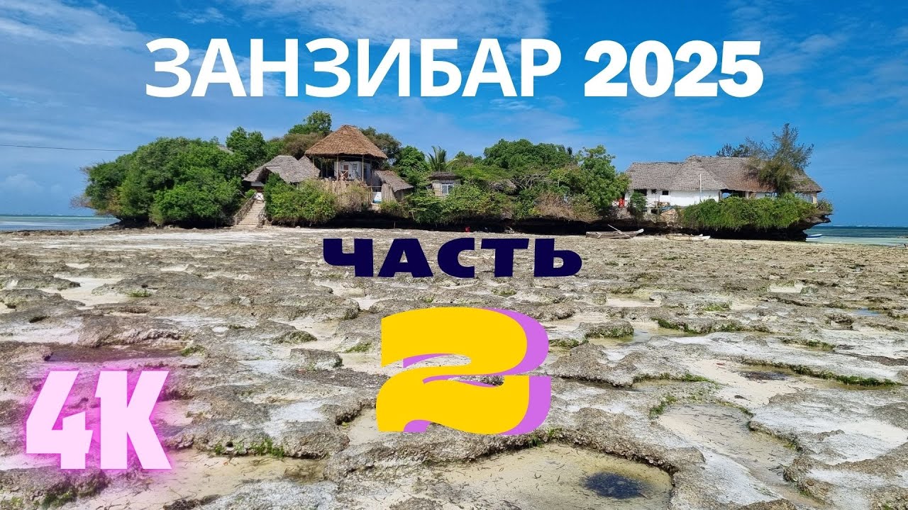 Часть 2. Занзибар без прикрас — пляжи, подводный мир и тревожная атмосфера