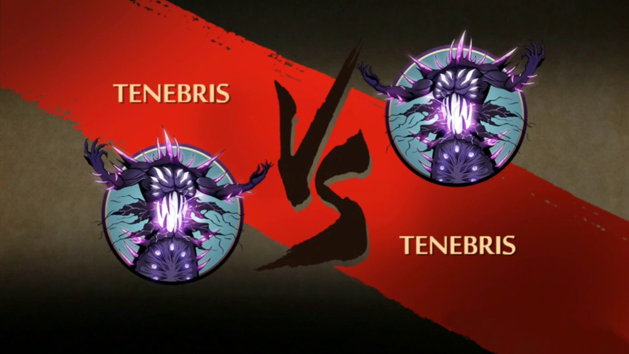 Shadow Fight 2 TENEBRIS VS TENEBRIS