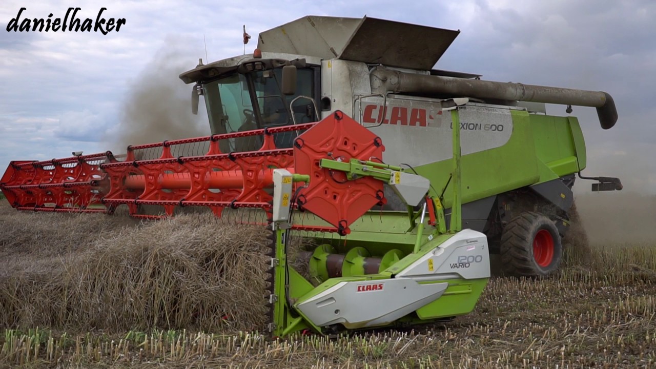 Claas Lexion 600 + heder 12m Vario 1200 w rzepaku