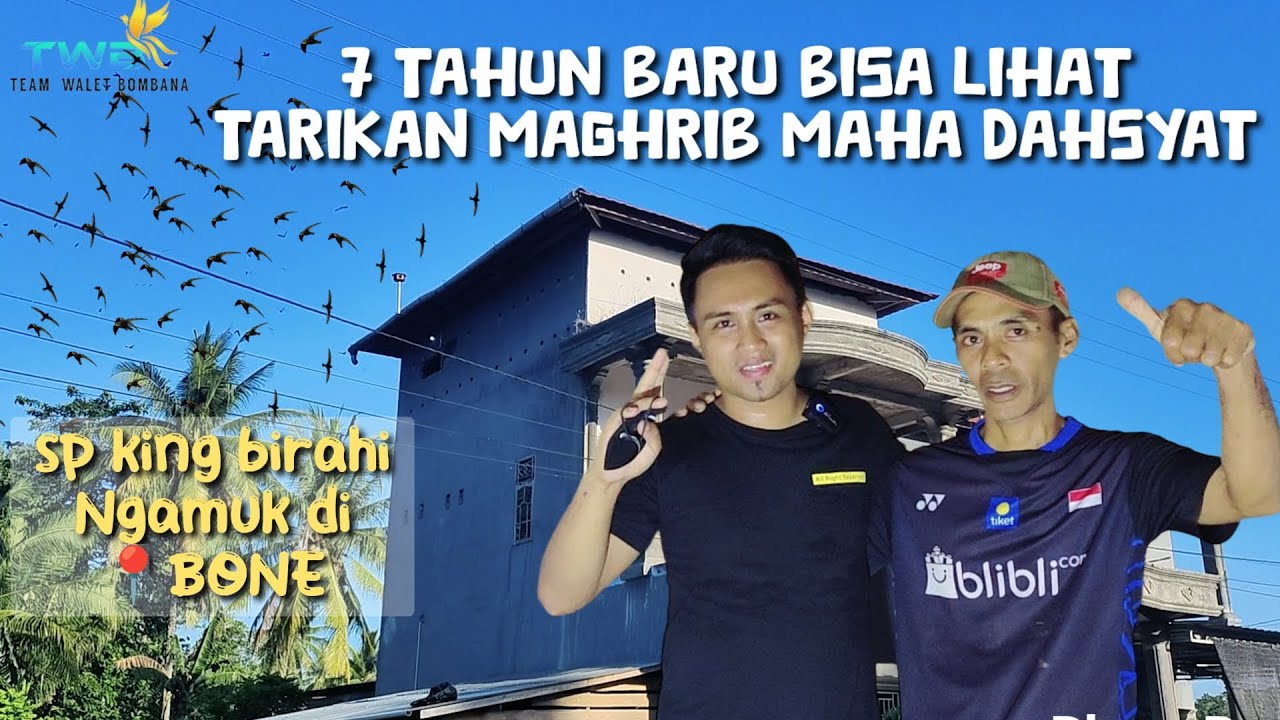 Pemilik gedung sangat senang sekali karna selama 7 tahun baru melihat burung sebanyak ini 👍