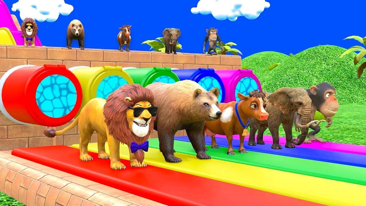 Long Slide Game with Cow Elephant Gorilla Hippopotamus Tiger 3d Animal Game Funny 3d Animals