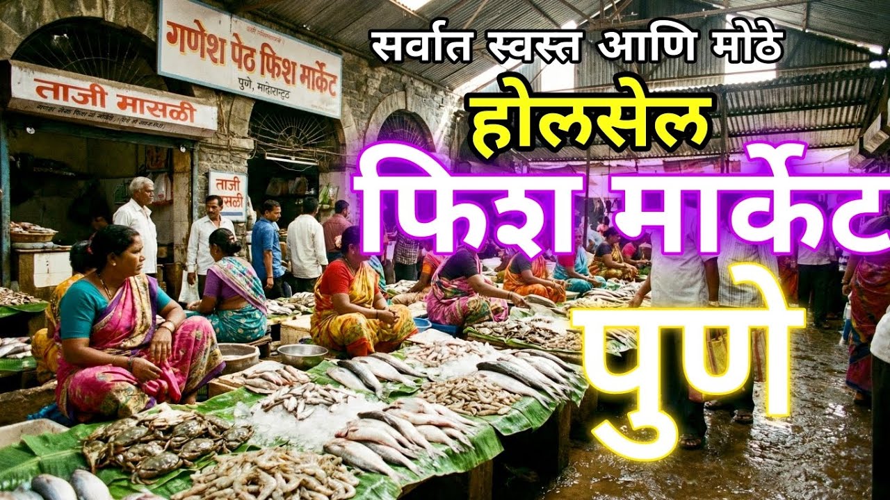 पुण्यातील सर्वात मोठे आणि स्वस्त फिश मार्केट.| होलसेल फिश मार्केट पुणे.| Pune fish market new update