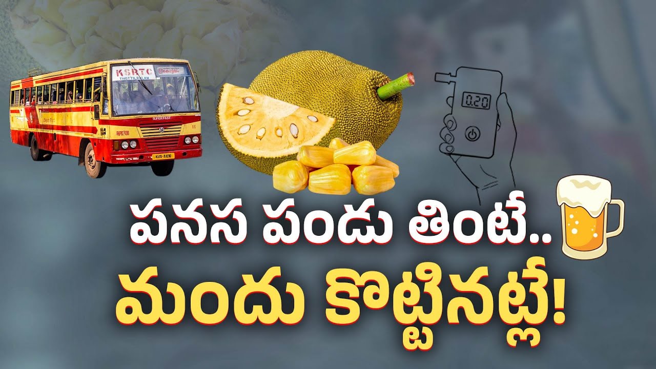 Driving After Consuming Jackfruit Leads to Drunken Drive? || Etv Explainer
