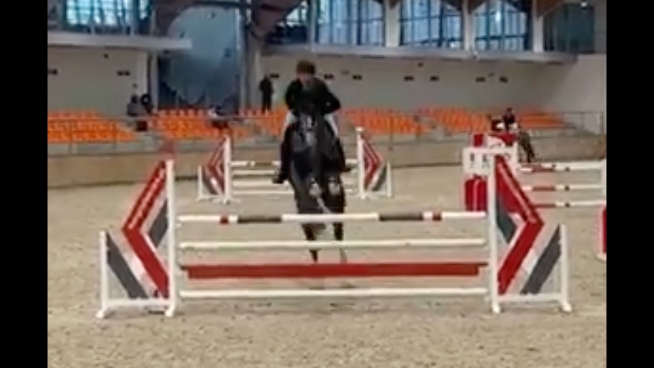 Chacco Classic LM, level 1.10 m, Sopot 01.03.26, rider Tomasz Miskiewicz