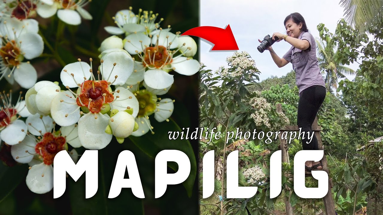 Kinilig sa Mapilig | #WildLifeWednesday EP. 01 | VAN LIFE