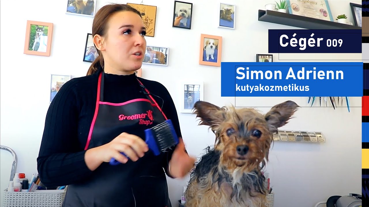 Cégér – Simon Adrienn kutyakozmetikus
