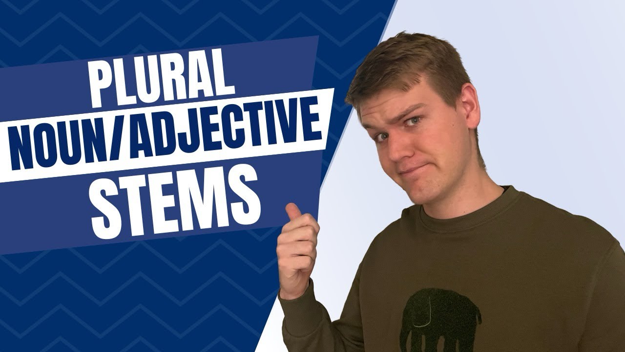 Plural Noun/Adjective Stems