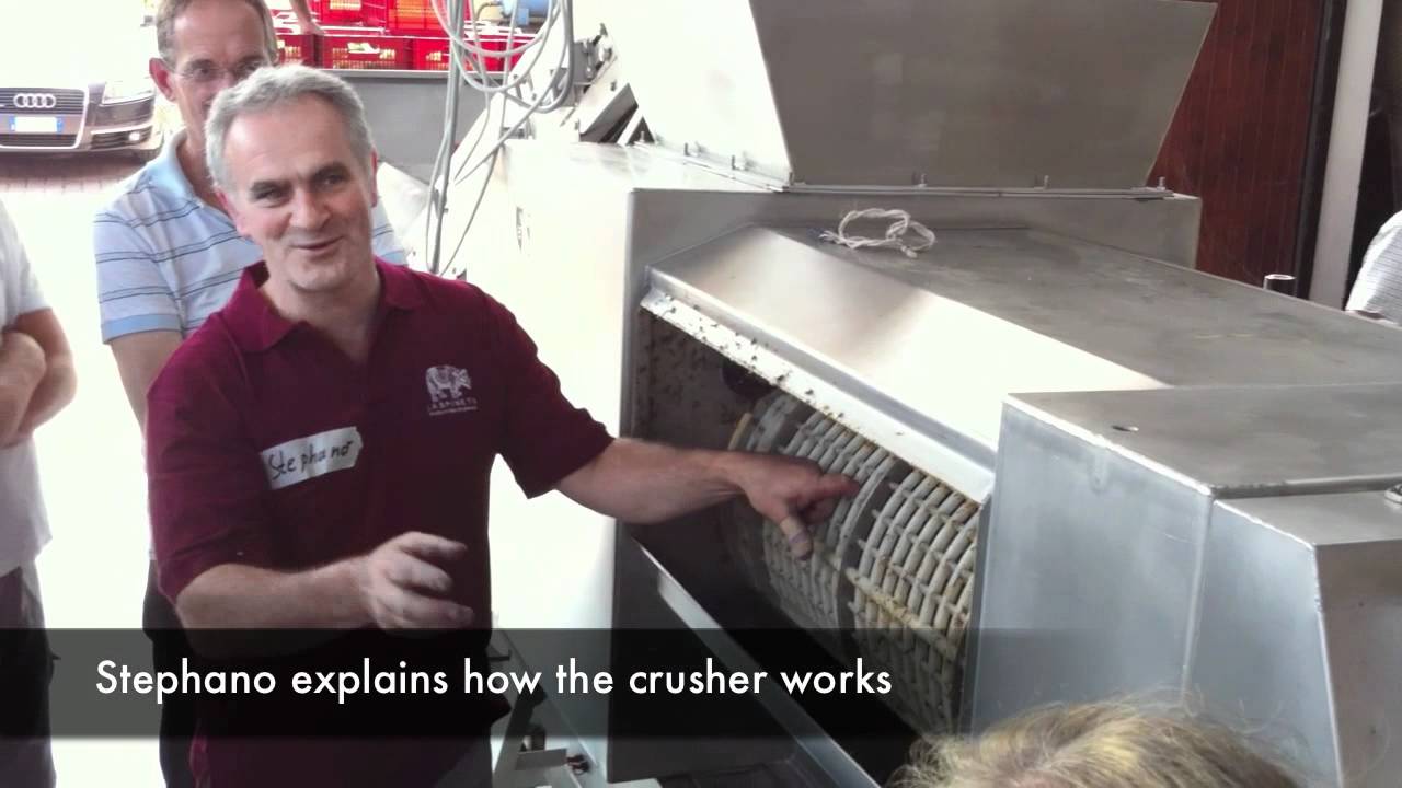 LaSpinetta - Crushing Muscato Grape Harvest
