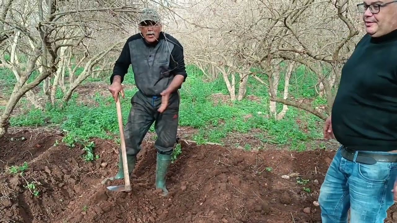 عمي حماد هاد العام يشبع فلووس💵💶