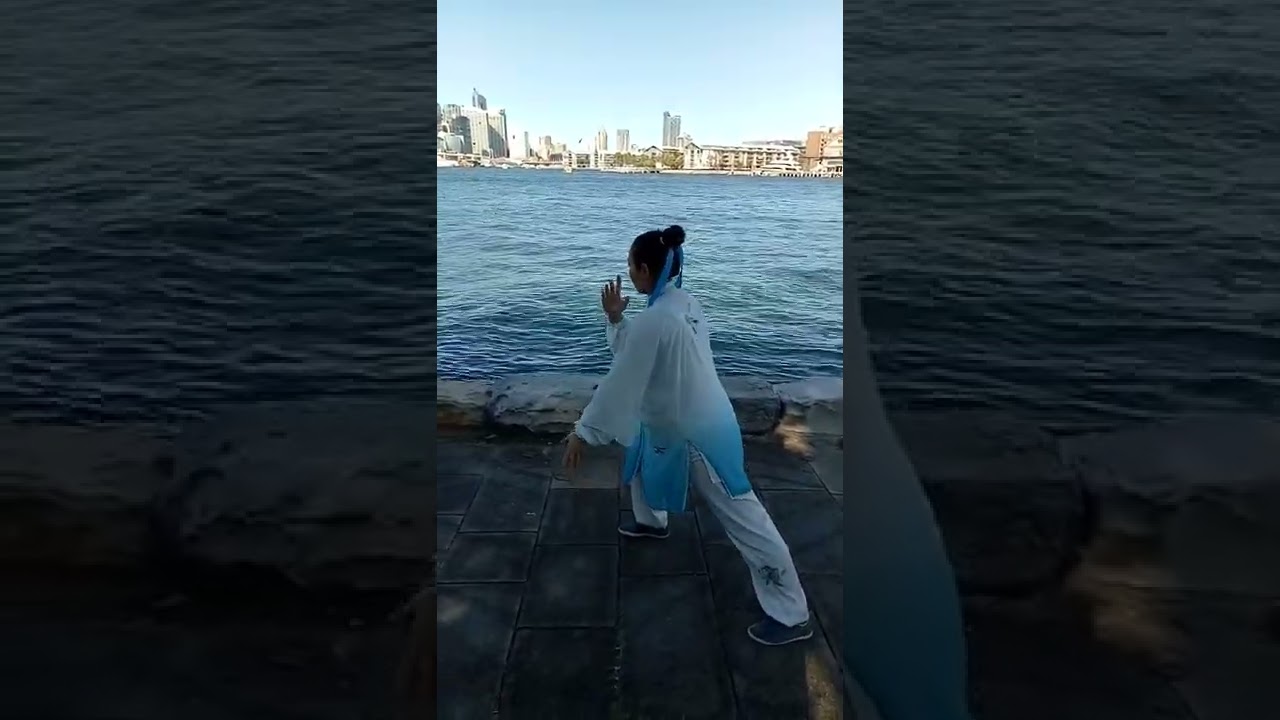 Tara performs Wu Yin Hua's Wu family short form and some qi gong.