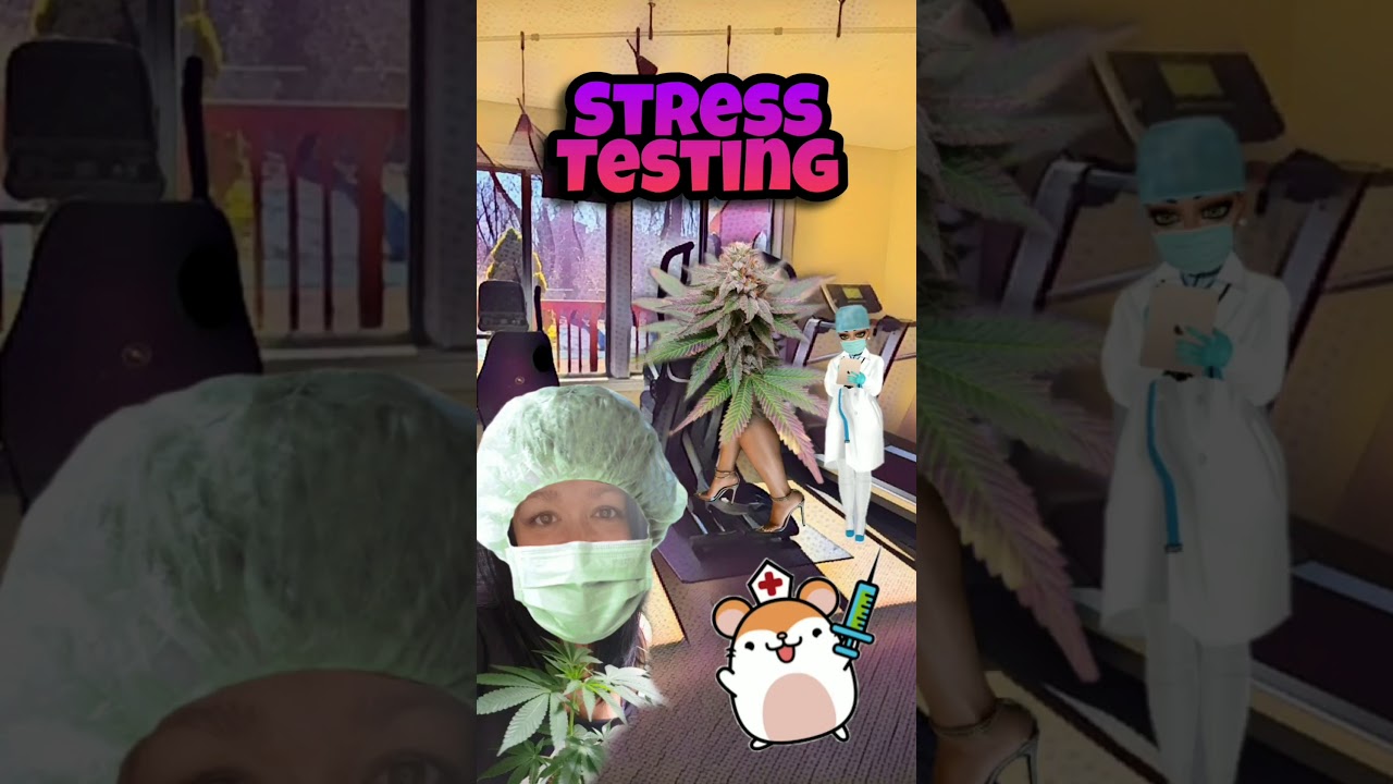 😵🤯 Let's talk about STRESS, baby! 🤯😵