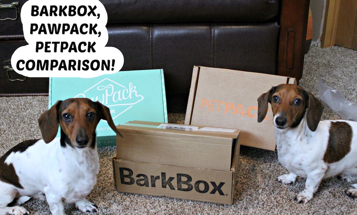 BARKBOX, PETPACK, PAWPACK COMPARISON!