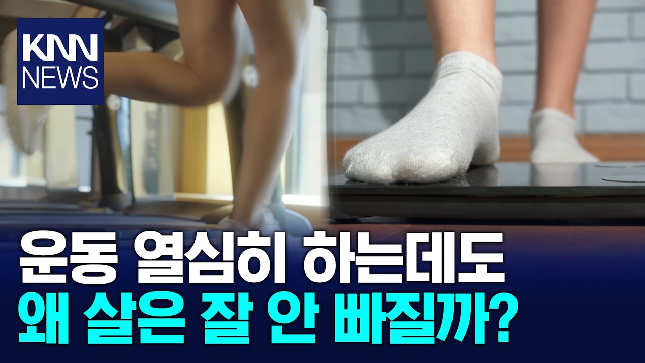 죽어라 뛰어도 안 빠지는 살 원인은 운동이 아니다? / KNN