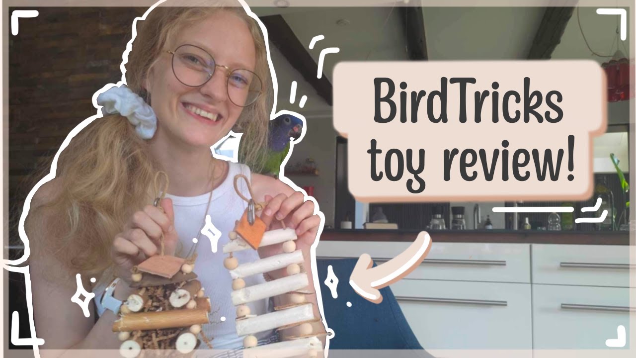 BirdTricks send me toys to review!
