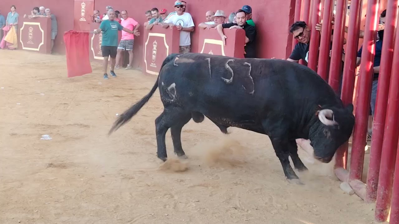 Fiestas en Puebla de Alcocer 2025