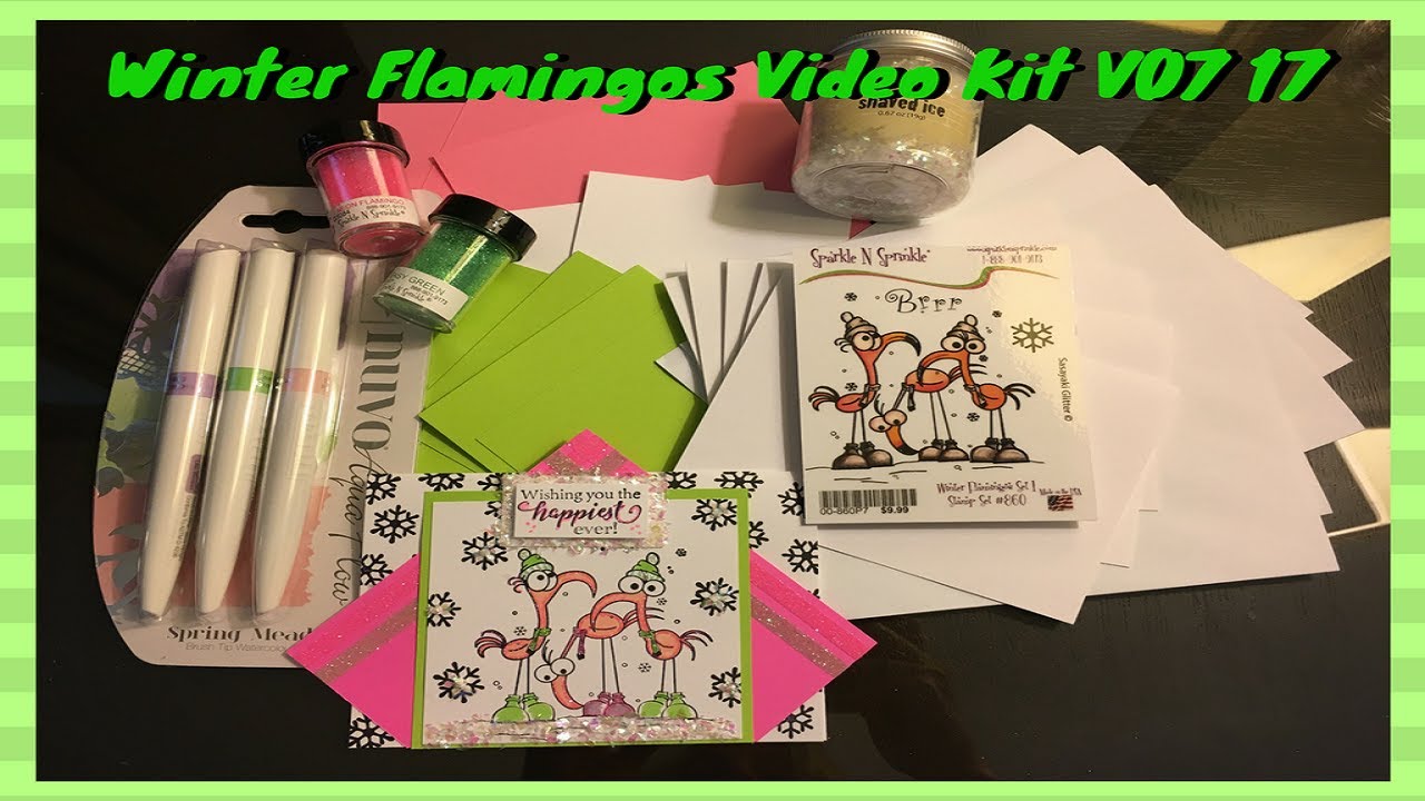 Winter Flamingos Video Kit V07 17