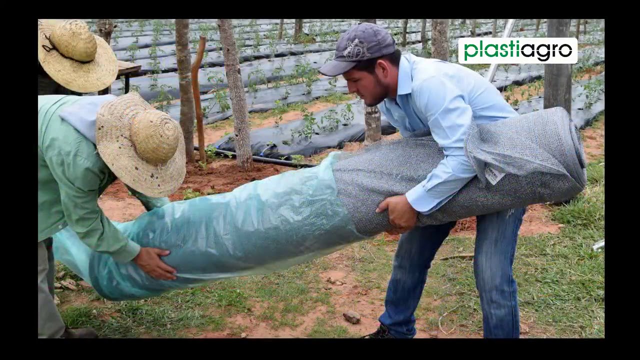 La clave para proteger tu cultivo🌱 no solamente está en utilizar los mejores