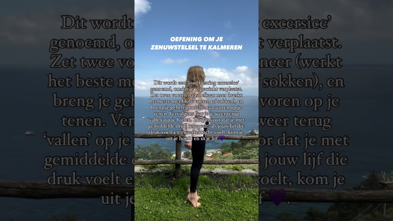 Zenuwstelsel oefening | Somatisch Coach Het Hele Plaatje