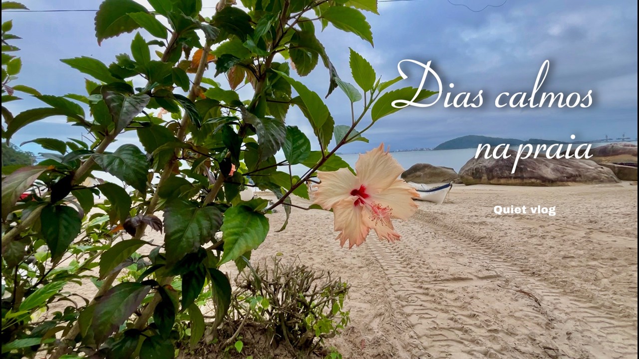 🐚🌺 Dias calmos na praia -quiet vlog- caminhada beira mar, conchas, leitura na praia, relaxante