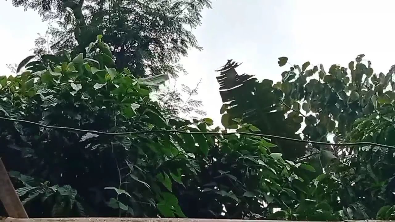 KOLEKSI LAGU BEST VALEN DA7