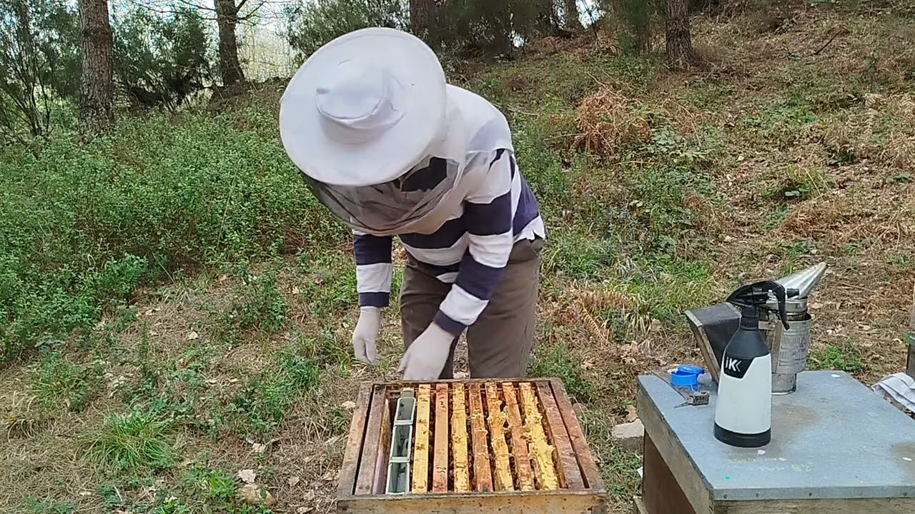 Oksalik Asit Püskürtme Uygulaması ve Arı Bakımı.24 Mart 2025 🐝🐝🐝🇹🇷🇹🇷🇹🇷