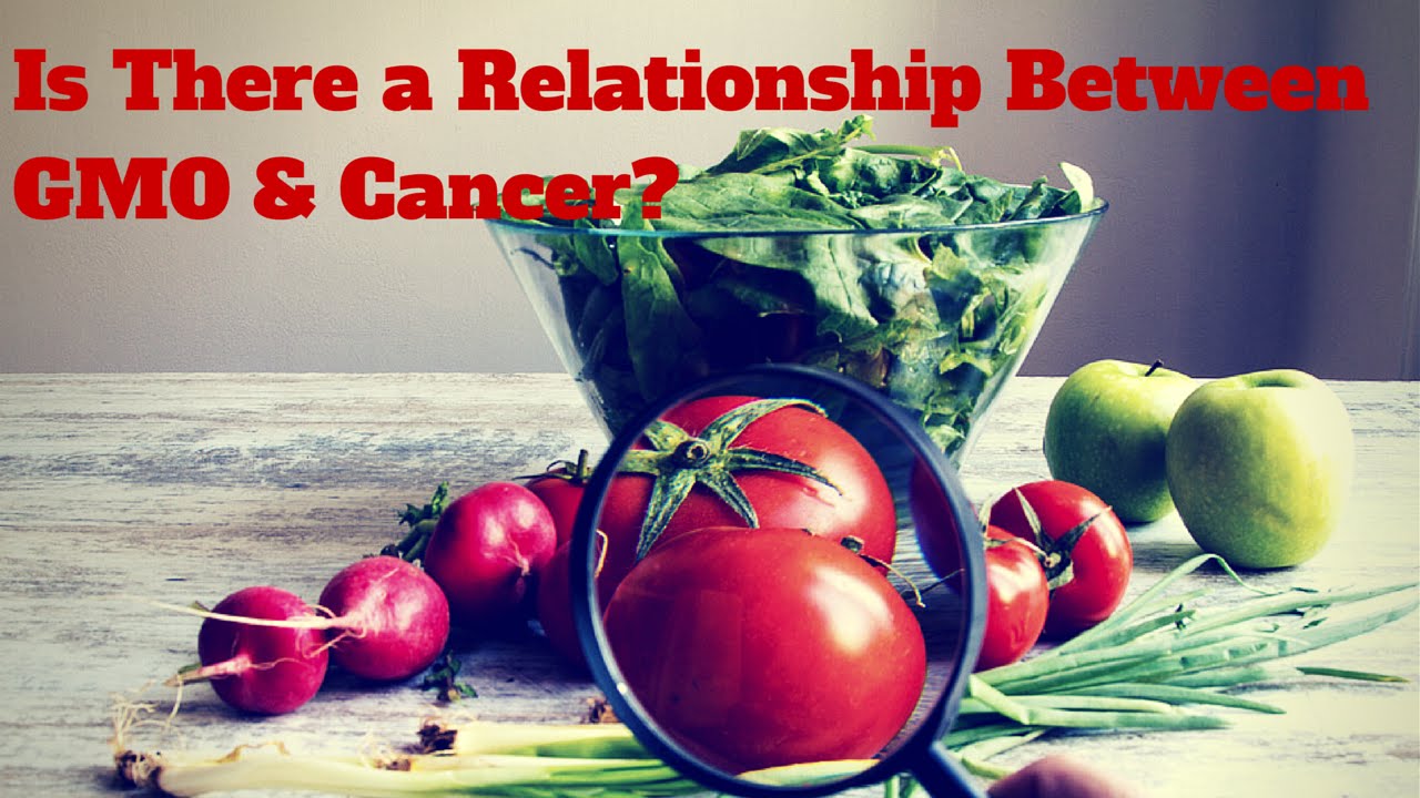 Is There a Relationship Between GMO (Genetically Modified Food) & Cancer?