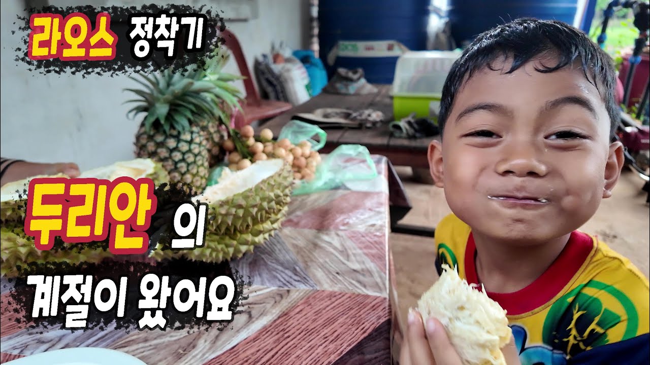 ep521 두리안의 계절이 왔네요
