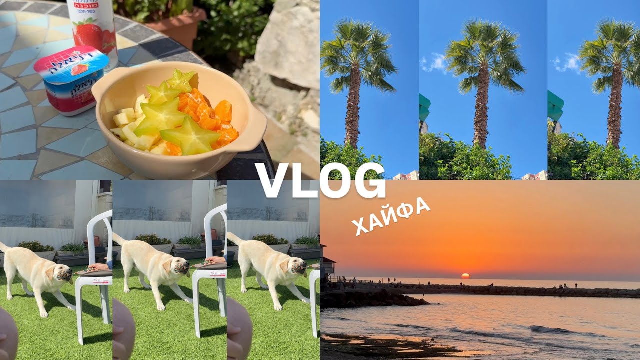 ХАЙФА vlog | Прогулка вдоль моря, медузы, купание в марте