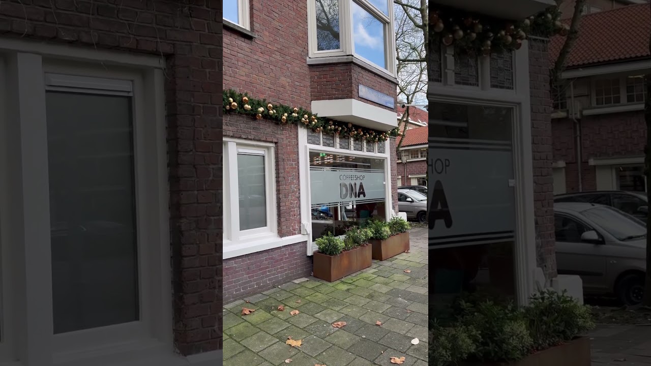 Coffeeshop DNA in Amsterdam(2023)