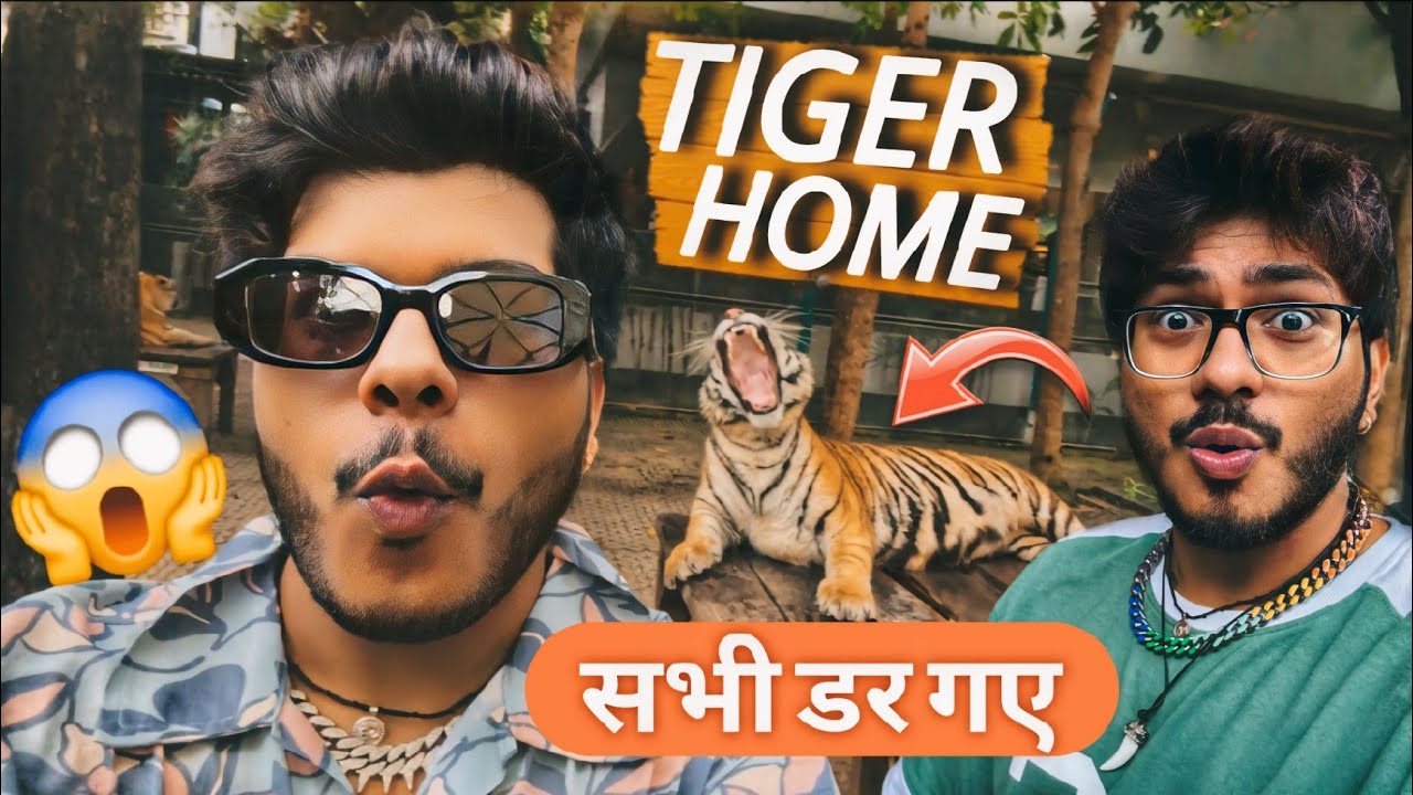 Tiger के पिंजरे में घुसा दिया 😱 Attack कर देता!!😰