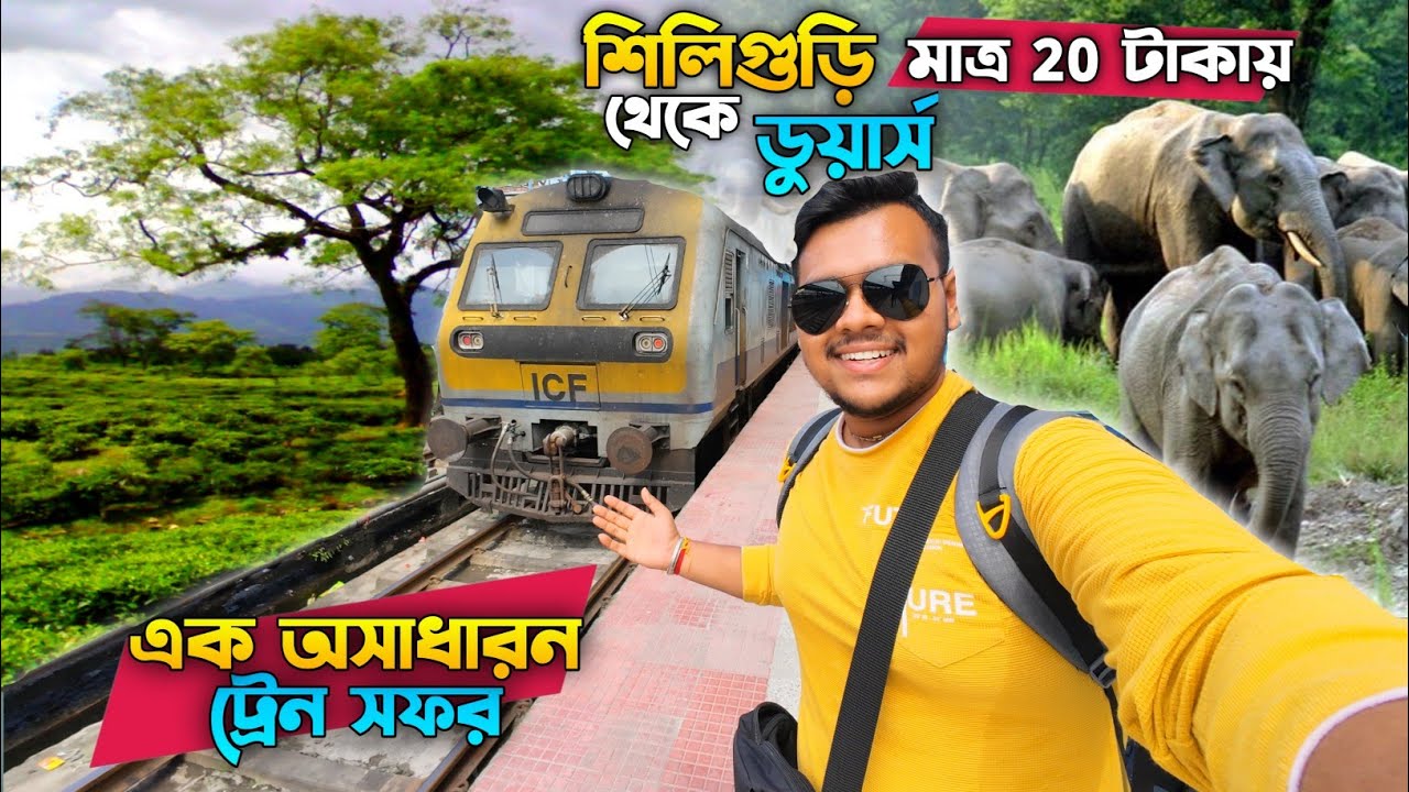 Dooars Tour | Siliguri To Dooars Local Train Journey | Dooars Train Journey | 07525 DEMU Passenger