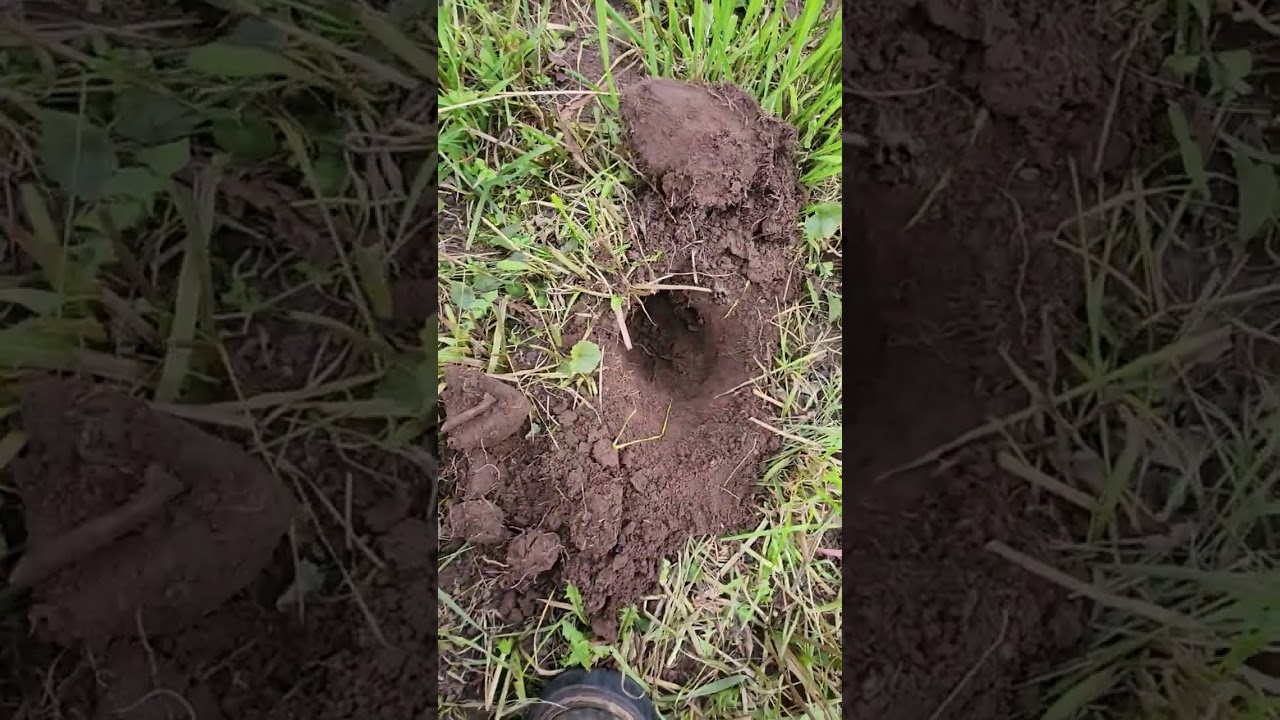 Работа современным металдетектором Nokta