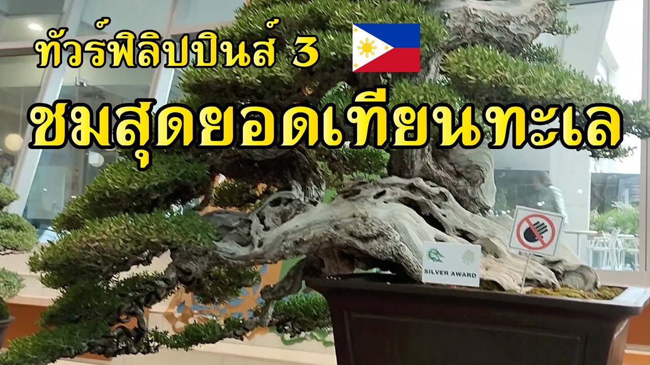 ทัวร์งานประกวดบอนไซ ฟิลิปปินส์ 3 [Tour Station] EP.37