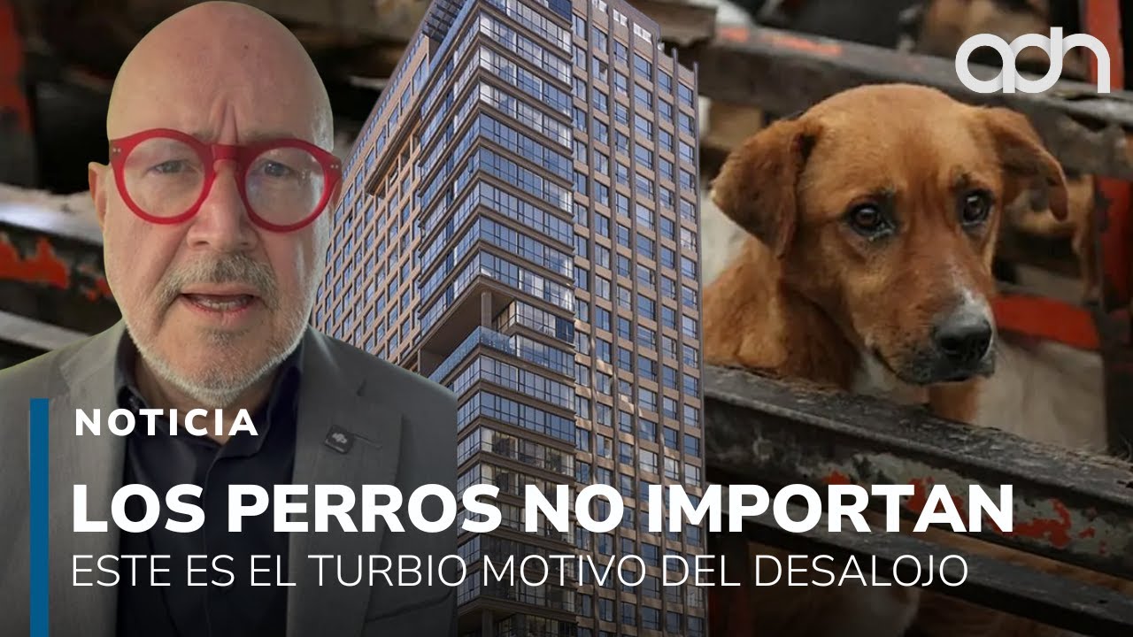 Los perros nunca importaron, este es el turbio motivo por el cual desalojaron el Refugio Franciscano